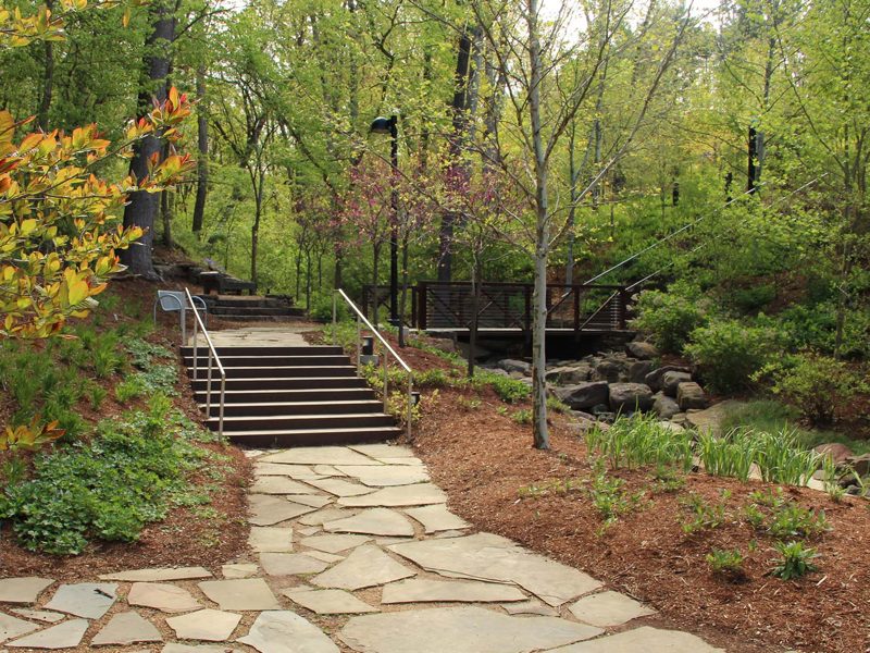 Trail on steep slope with steps in woodland