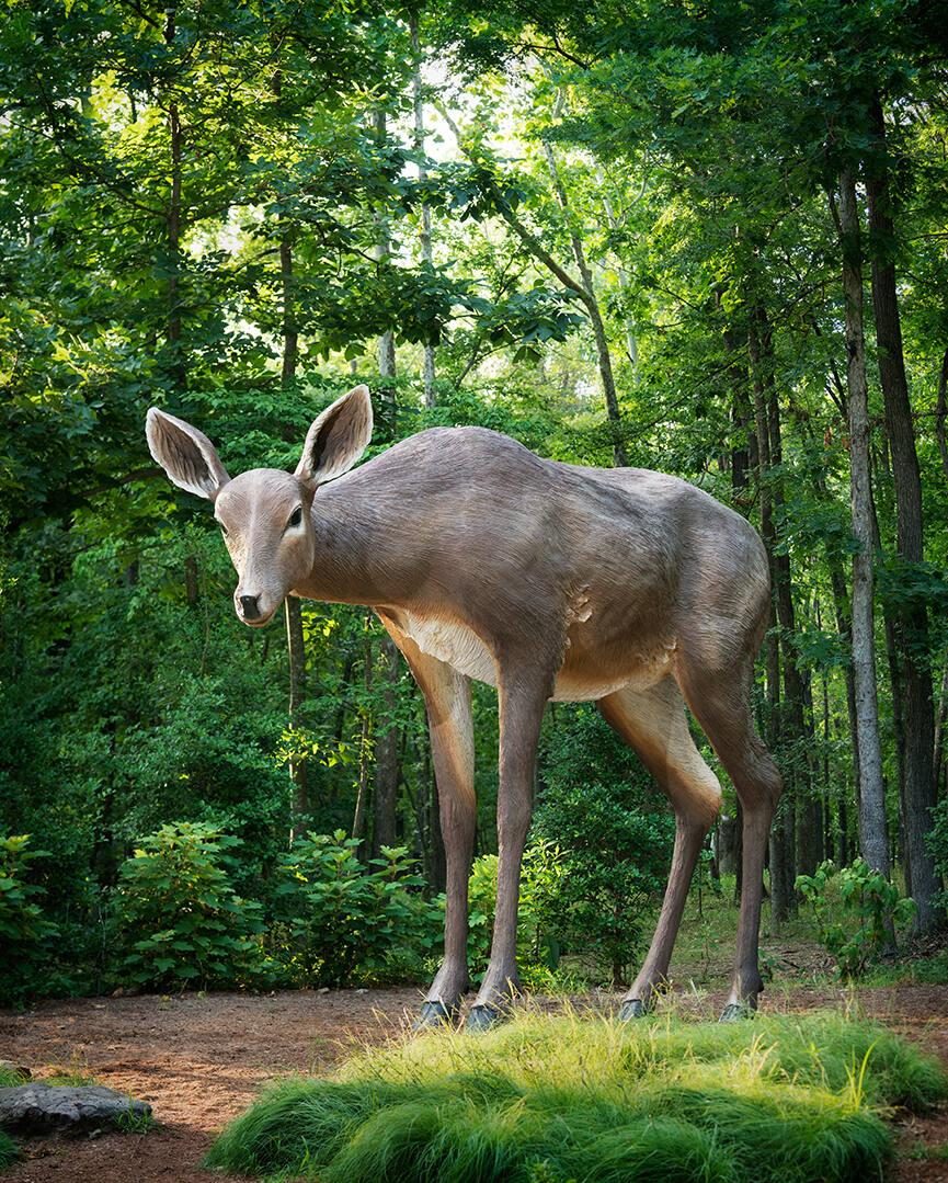 Deer statue in the North Forest