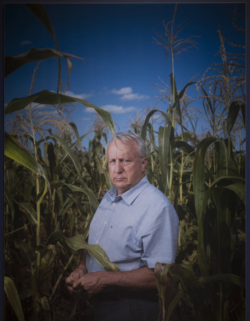 Person in blue shirt standing in a cornfield under a clear blue sky with some clouds visible.