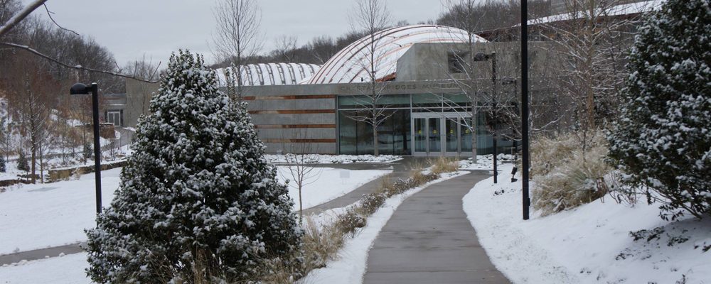 Snow scene of a tree lined pathway leading to building