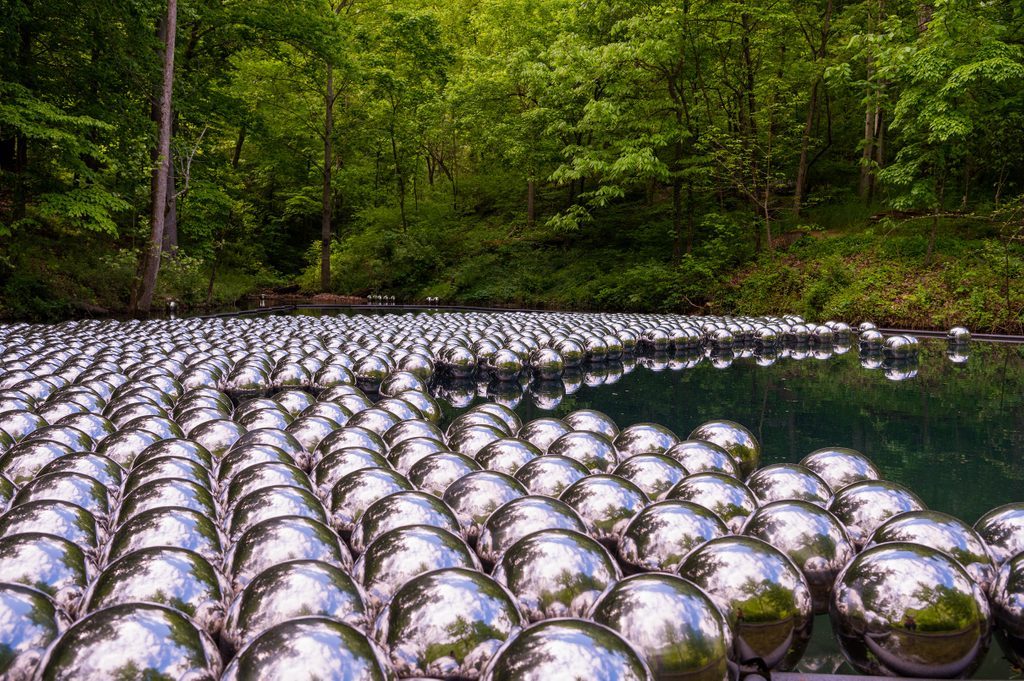 Reflective silver spheres floating in rows on a forest pond with surrounding trees visible.