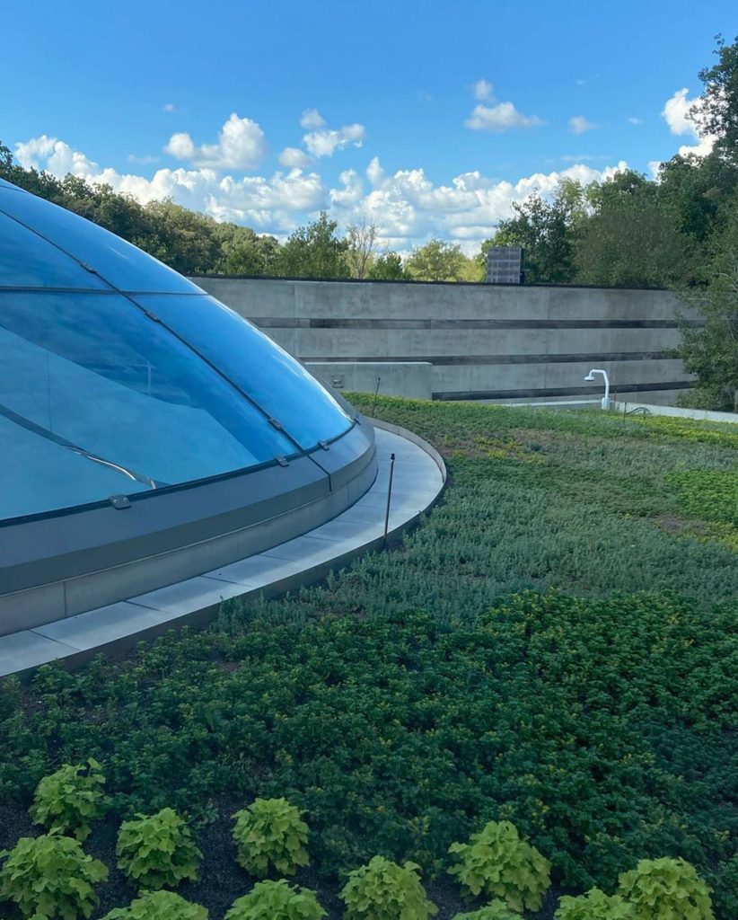 image of a green roof at crystal bridges surrounding the garrison lobby dome. the green roof features 20,000 plants