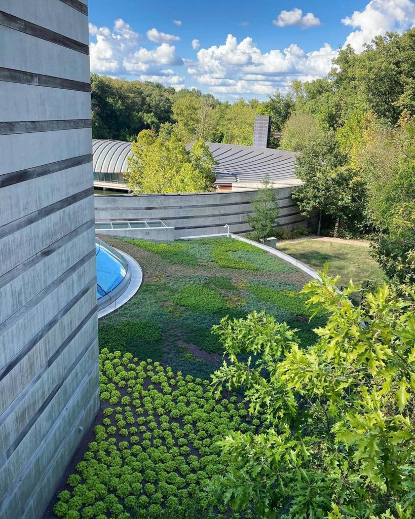 image of a green roof at crystal bridges surrounding the garrison lobby dome. the green roof features 20,000 plants
