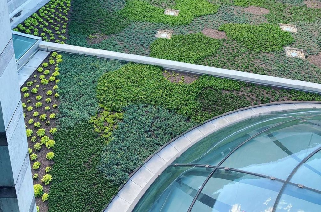 image of a green roof at crystal bridges surrounding the garrison lobby dome. the green roof features 20,000 plants