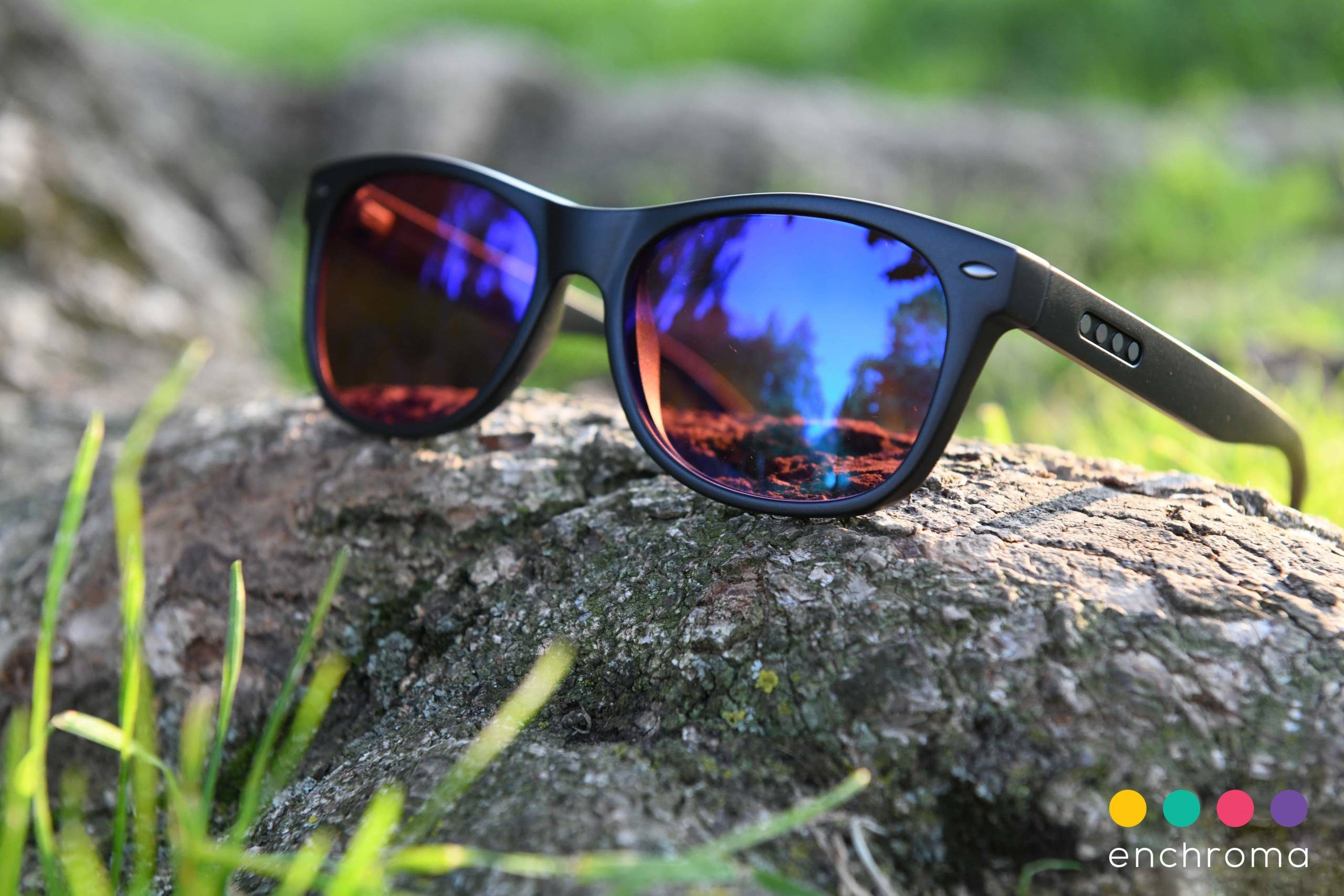 Sunglasses with multicolored lenses on a tree trunk, logo 