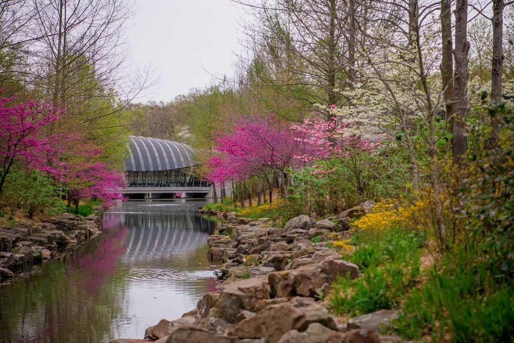Colorful flowers and plants with Crystal Bridges in the background.