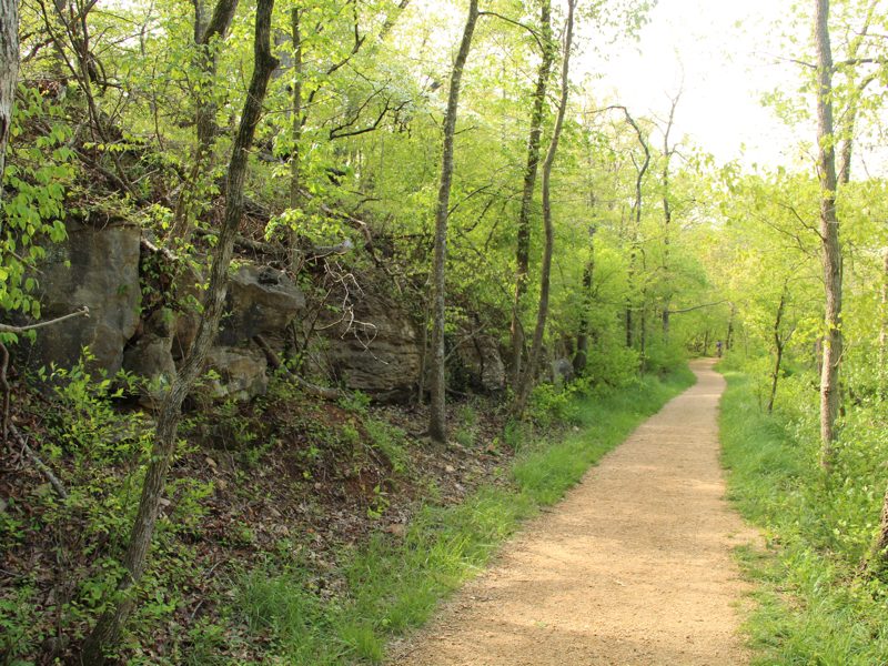 Dirt path through lush forest with tall trees, rocky outcrops, and bright sunlight.
