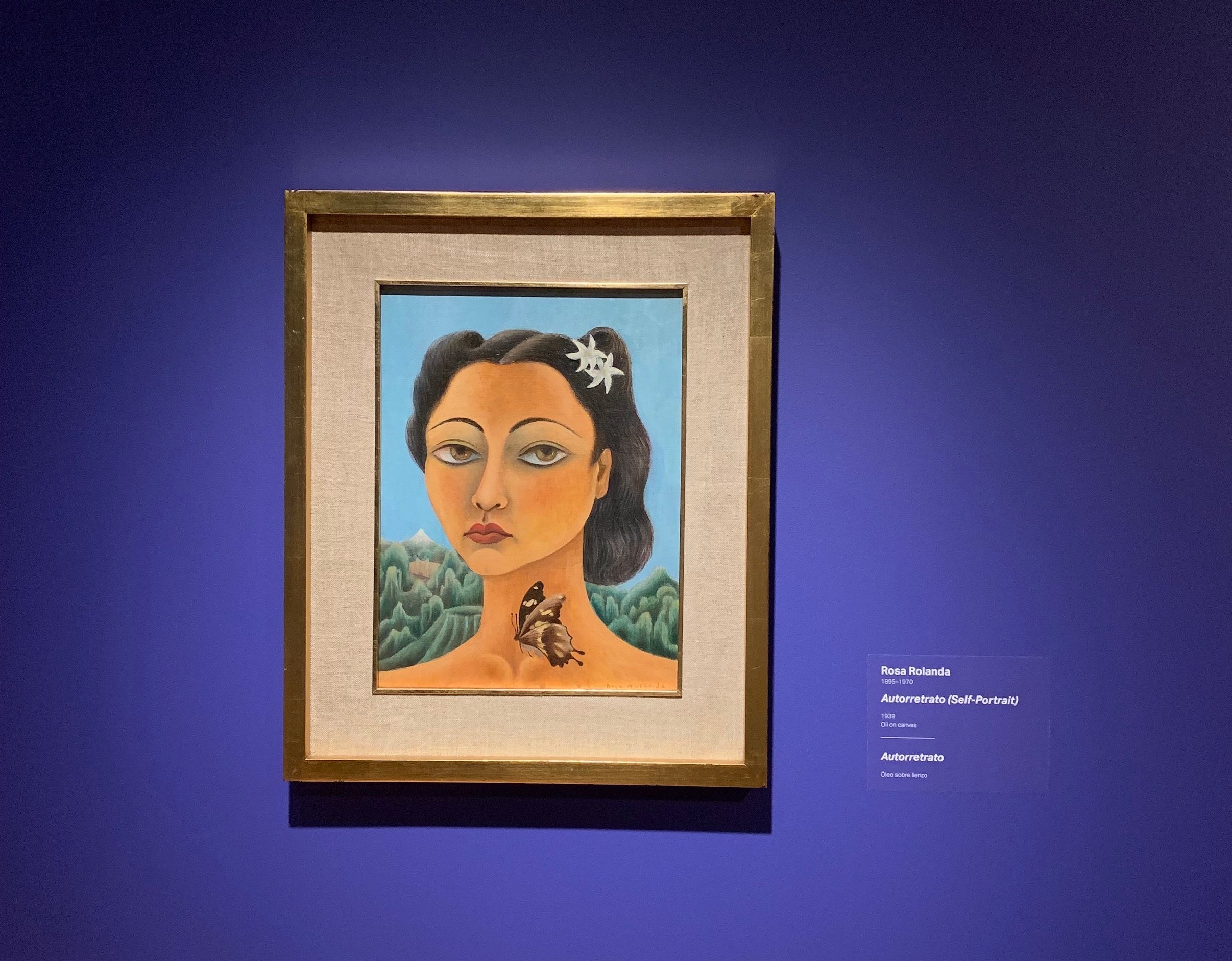 Portrait of woman hanging on gallery wall with label beside it