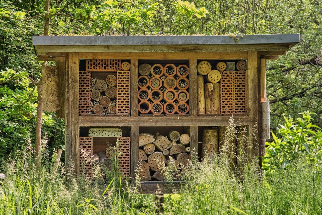 an insect hotel structure made of wood and divided into cubbies for various insects to nest