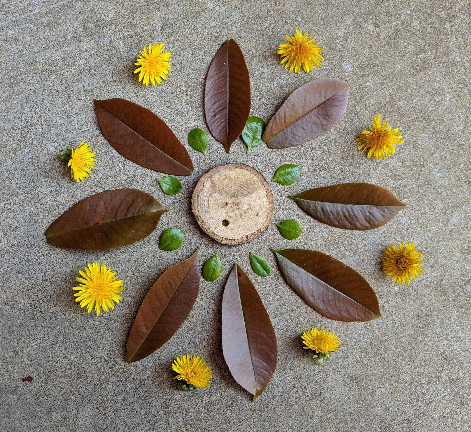 Circular arrangement with wooden disc, brown and green leaves, and yellow dandelion flowers.