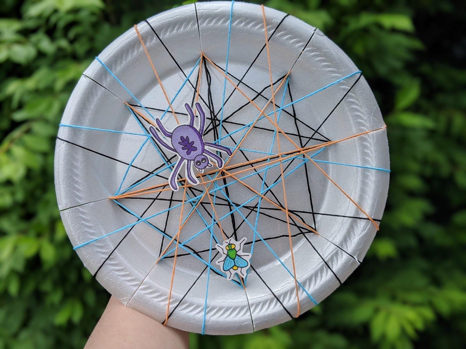 Paper plate with black, orange, blue string web, purple spider, and green fly stickers.