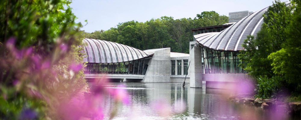 Modern building with curved roofs by water, surrounded by trees and purple flowers.