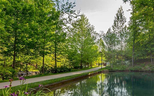 Serene park with paved path, tall leafy trees, calm pond, flowering plants in foreground.