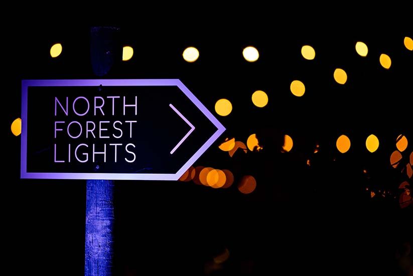 Sign reading North Forest Lights with arrow, dark background, and blurred yellow lights.