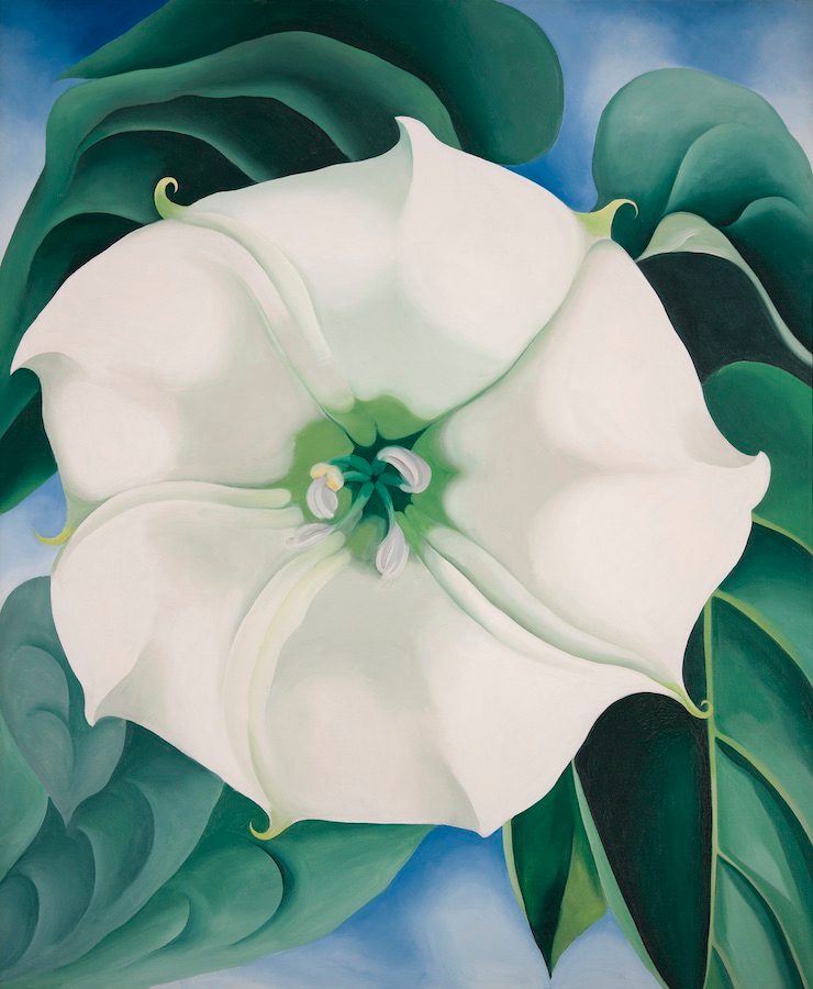 Painting of a large white flower with green leaves on a blue background.