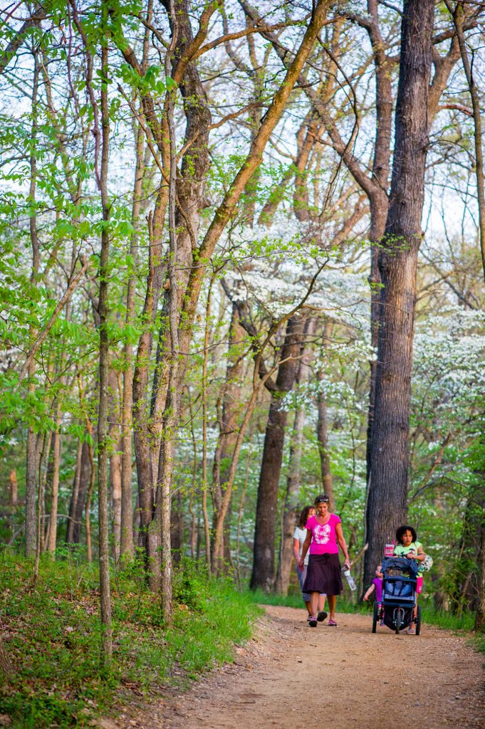 Woman with child and stroller on forest dirt path, surrounded by green foliage and trees.