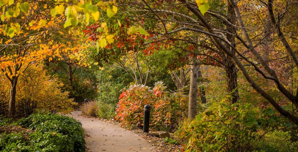Sendero en Crystal Bridges en otoño