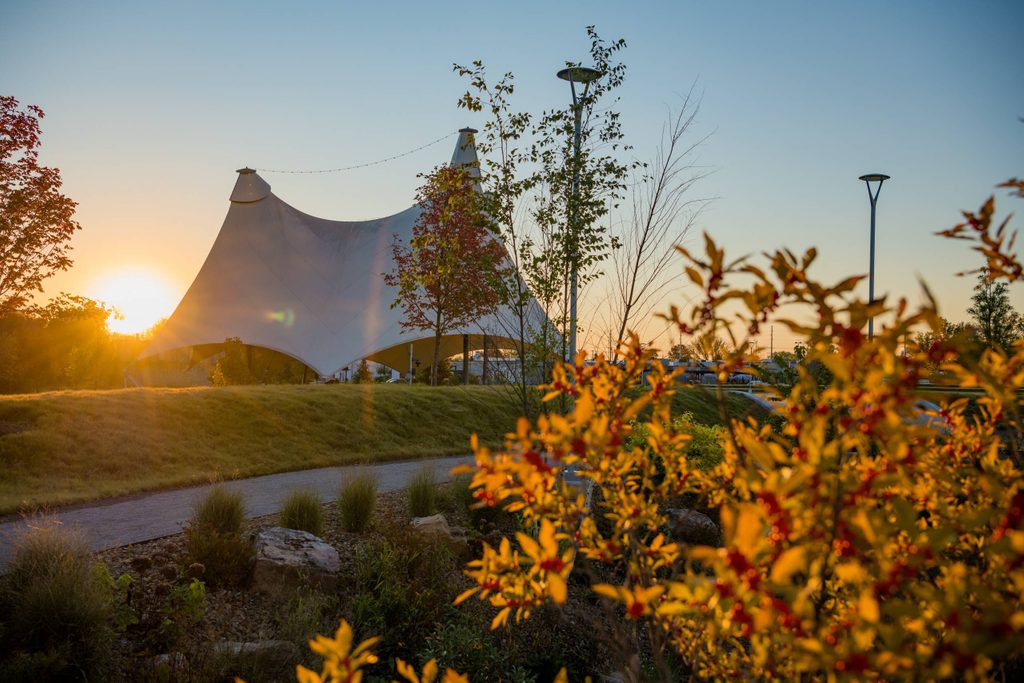 a white canopy tent with two spires set against a setting sun and foregrounded by yellow and brown flowers