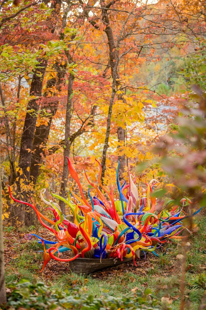 Bote con coloridas esculturas de vidrio en forma de espirales como si fueran tentáculos en una zona boscosa durante el otoño.