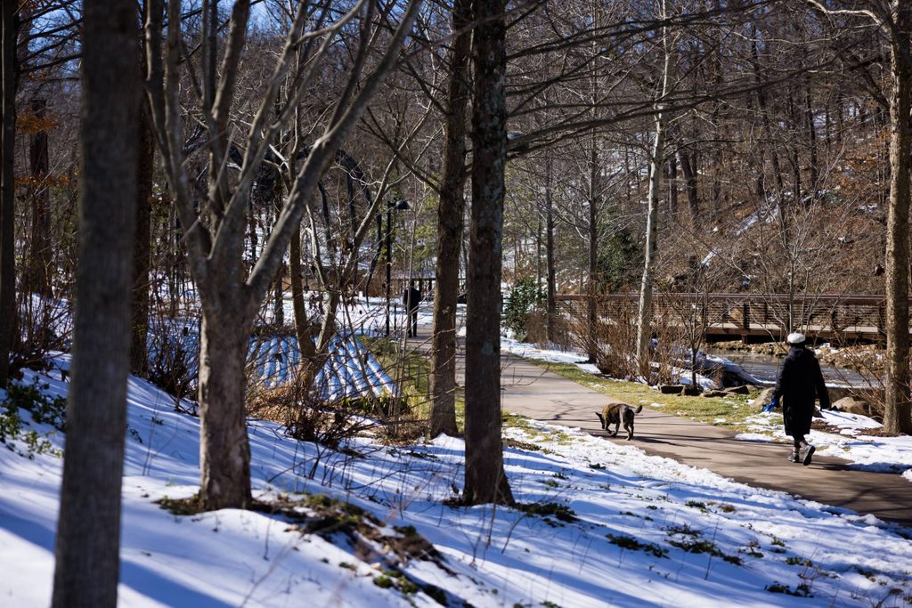 a woman walks her dog on a sidewalk cutting through a winter landscape surrounded by trees, snow, and a bridge on the right