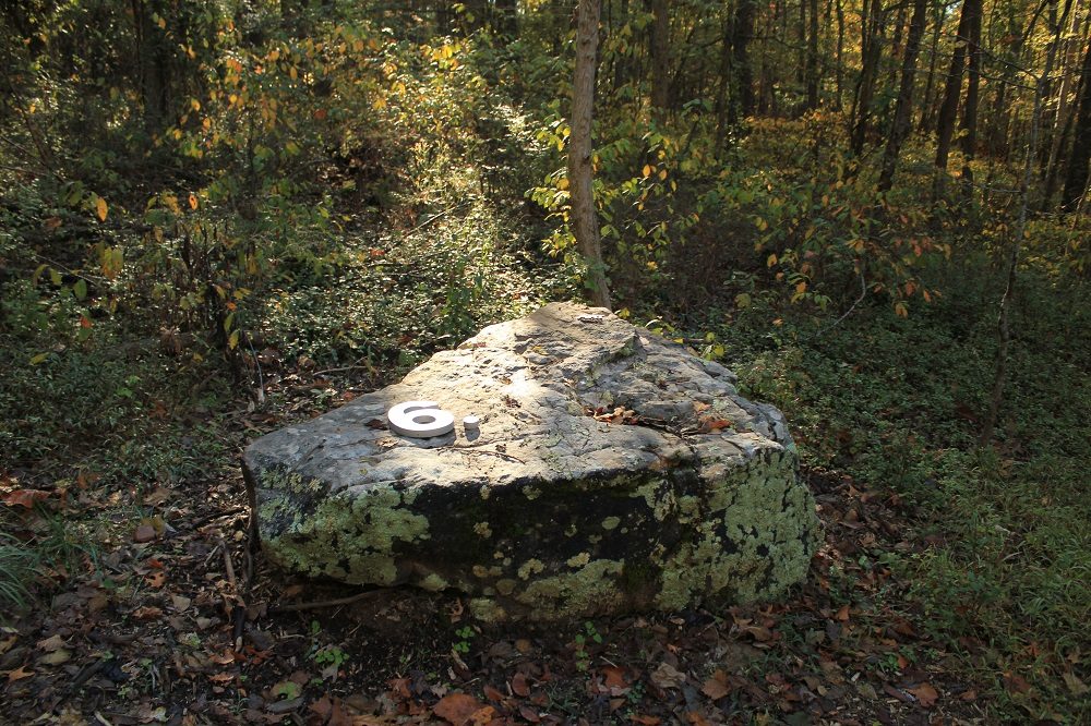 Lichen-covered rock with metal number six in a wooded area.