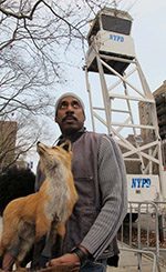 Man with stuffed fox near NYPD tower, bare trees, city buildings in background.