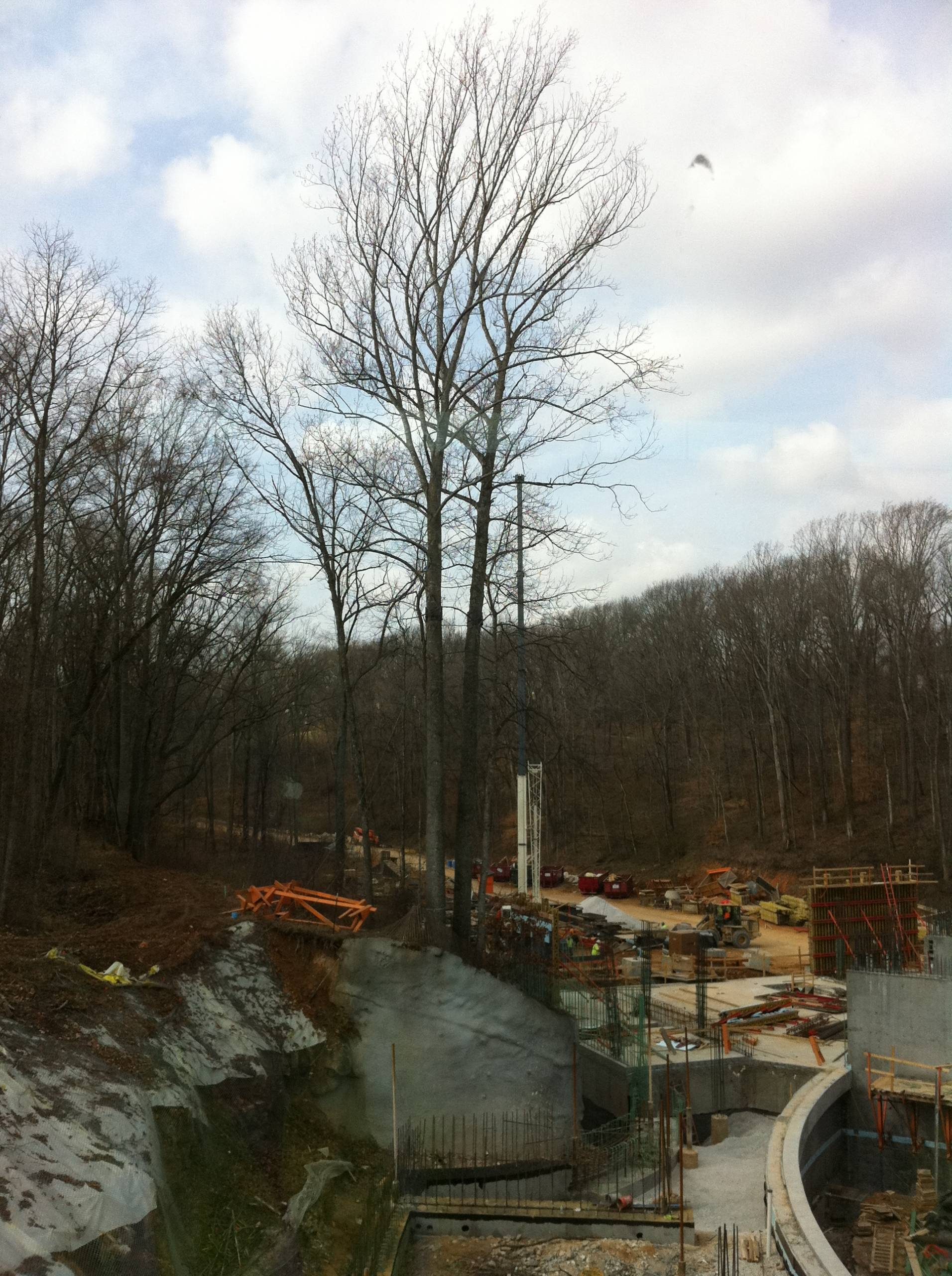 Construction site in wooded area with machinery, materials, and leafless trees under cloudy sky.