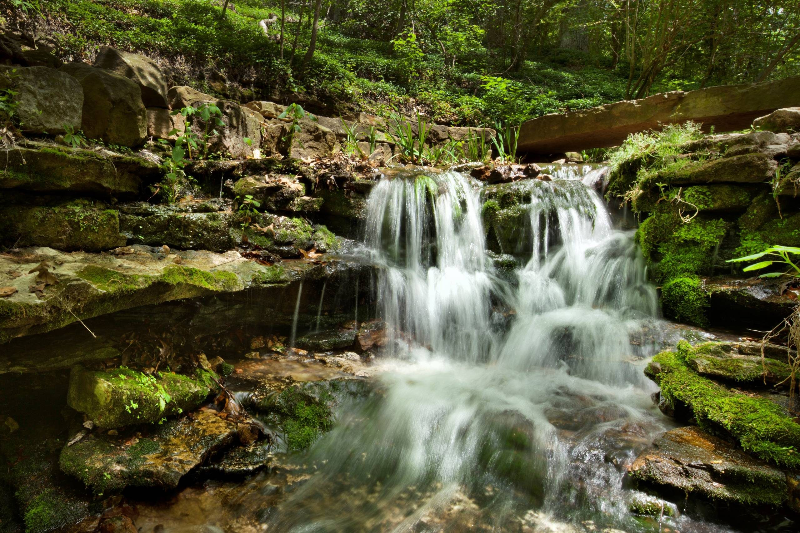 Waterfall trickling down rocks