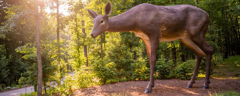 Tony Tasset, Deer, 2015, fiberglass, epoxy, and paint, 114 in. x 20 ft. x 96 in. Crystal Bridges Museum of American Art, Bentonville, Arkansas, 2017.4