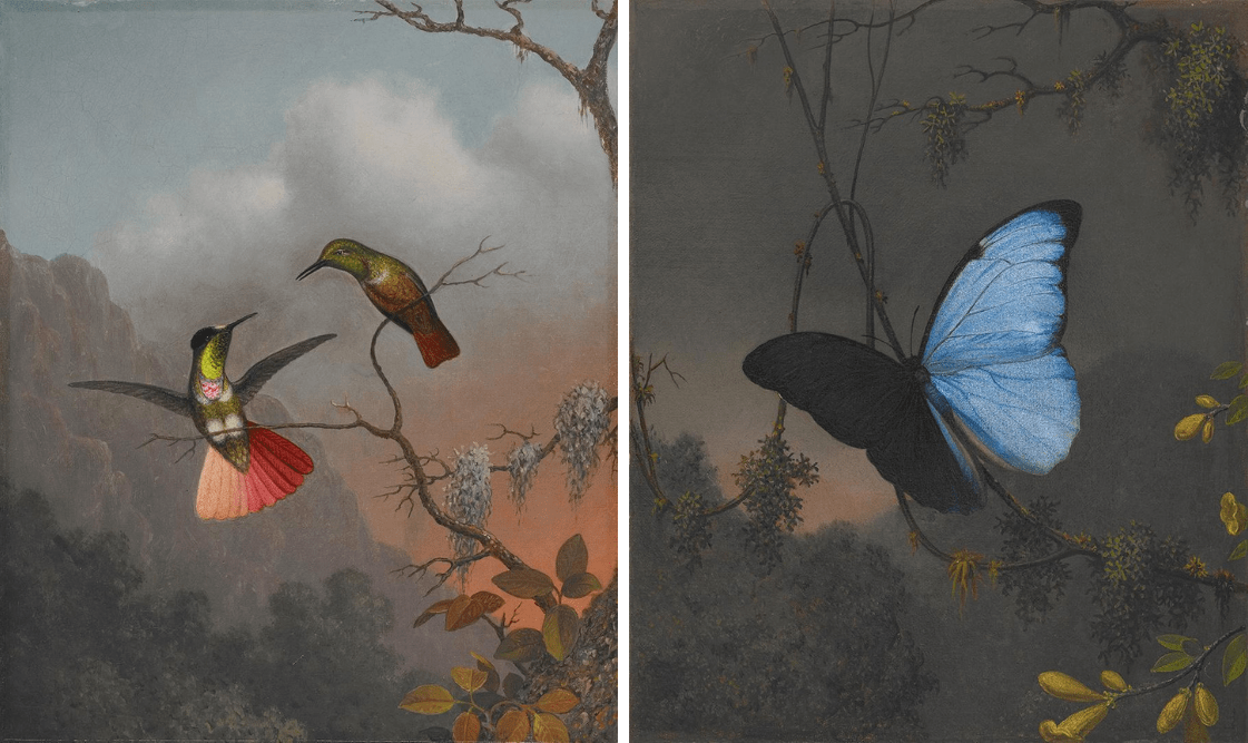 Two birds on a branch against sunset; a blue butterfly with dark sky and foliage.